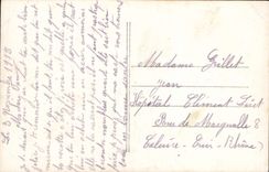 Flores del color de rosa de la fantasía de la POSTAL de la VENDIMIA