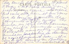 Mercado de la POSTAL de la VENDIMIA Niza con las flores