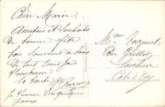 Flores de la fantasía de la POSTAL de la VENDIMIA