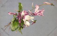 Flores de la fantasía de la POSTAL de la VENDIMIA