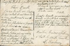 Flores de la fantasía de la POSTAL de la VENDIMIA