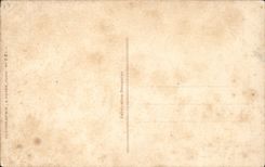 Flores de la fantasía de la POSTAL de la VENDIMIA