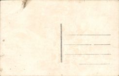 Flores de la fantasía de la POSTAL de la VENDIMIA