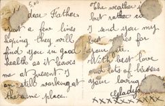 Flores de la fantasía de la POSTAL de la VENDIMIA