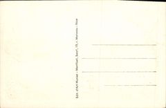 Opinión de la POSTAL de la VENDIMIA Niza tomada del observatorio