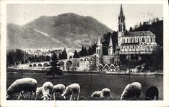 VINTAGE POSTCARD Heavy the Basilica