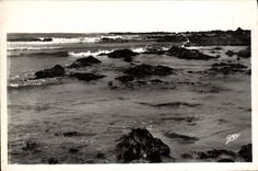 POSTAL de la VENDIMIA Sables d'Olonne la dimensión salvaje