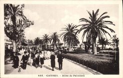 VINTAGE POSTCARD Cannes Gone Of Palm trees