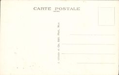 VINTAGE POSTCARD Cannes Gone Of Palm trees