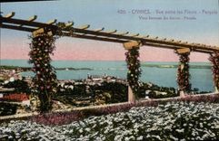 VINTAGE POSTCARD Cannes Seen between the flowers Pergola