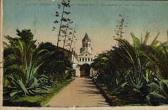 VINTAGE POSTCARD Island of Lerins Seen of the monastery