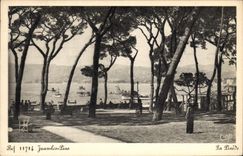 CPA Juan Les Pins La pinede