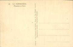 VINTAGE POSTCARD Normandy Apple trees In Flowers