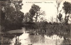 CPA Foret De Fontainebleau Mare Aux Fees