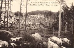 VINTAGE POSTCARD Foret De Fontainebleau Marlotte Belvedere of the Pines Gorges with the wolves