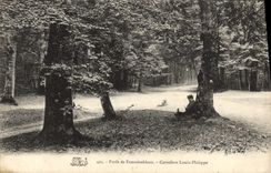 CPA Foret De Fontainebleau Carrefour Louis Philippe