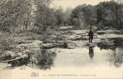 CPA Foret De Fontainebleau La Mare Aux Fees