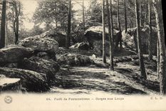 CPA Foret De Fontainebleau Gorges Aux Loups