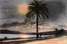 VINTAGE POSTCARD To lay down De Solell On I' Esterel
