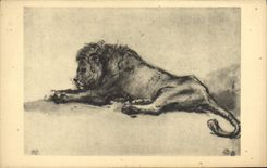 VINTAGE POSTCARD Liggende Leeuw Rembrandt lion