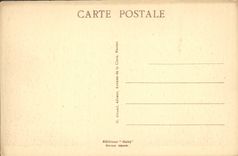 CPA Carcassonne Le Pont Neuf et la Cite