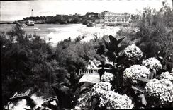 CPM Biarritz Les hortensias et vue sur la grande plage L'hotel du palais et le phare