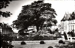 MODERN CARD Tours the large cedar