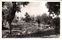 MODERN CARD Vichy parks and the new basin of the swans