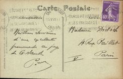 VINTAGE POSTCARD Edges of Hollow With the pine