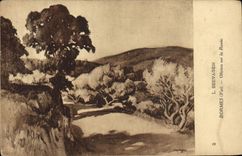 VINTAGE POSTCARD Bormes Olive-trees On the Seevagen Road