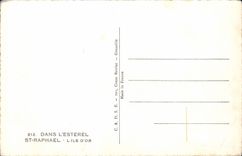 VINTAGE POSTCARD In Esterel St Raphael the Gold Island