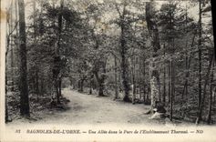 CPA Bagnoles De L'Orne Une Allee Dans le Parc de l'etablissement thermal