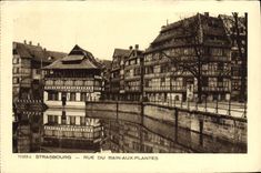 Calle de Estrasburgo de la POSTAL de la VENDIMIA del baño a las plantas