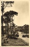 VINTAGE POSTCARD La Baule Pines a Sight of the Automobile Drill