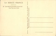 VINTAGE POSTCARD La Baule Pines a Sight of the Automobile Drill