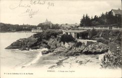 VINTAGE POSTCARD Pornic the Handle With the Rabbits Rabbit