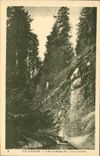 VINTAGE POSTCARD Lioran Falls Of Allagnon