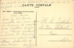 CPA Brehat Les Iles Beniguet Vues A Travers Les Pins de la citadelle
