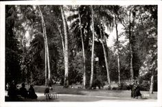 MODERN CARD Vichy the new park