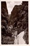 CPM Amelie Les Bains Les gorges du mondom
