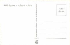 MODERN CARD Bort the Jump Of the Willow