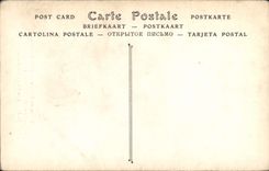 VINTAGE POSTCARD Museum Of Louvre English School Opie the woman in white