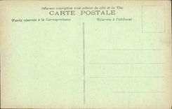 VINTAGE POSTCARD Museum Of Bordeaux the Cicada