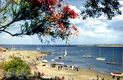 CPM Ile De Re La Plage De Trousse Chemise
