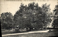 VINTAGE POSTCARD Saint Les Bains Honors Park De I' Etablissement the large oaks