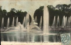 VINTAGE POSTCARD Park Of Versailles the Basin De Neptune