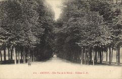 CPA Amiens Une Vue De La Hotoie 