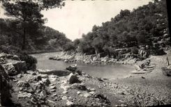 MODERN CARD Blackcurrant Creek Of Port Pine Kayak Canoe