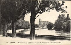 CPA Meaux Promenade des Trinitaires Vue sur la Marne et la Cathedrale 