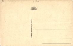 CPA St Sauveur Le Pont Napoleon